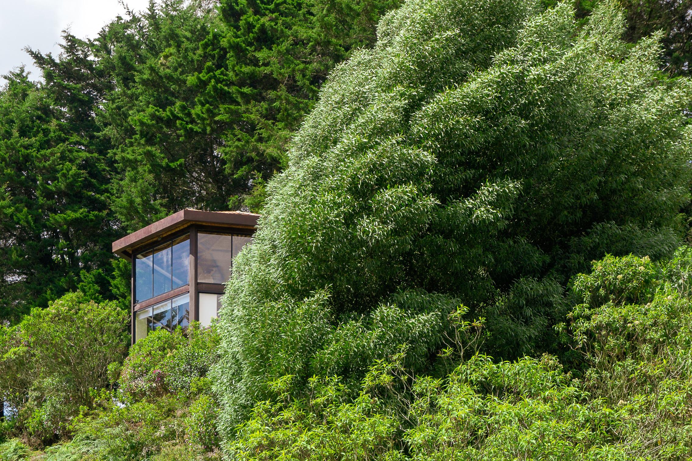 Cannua Lodge Marinilla Eksteriør bilde